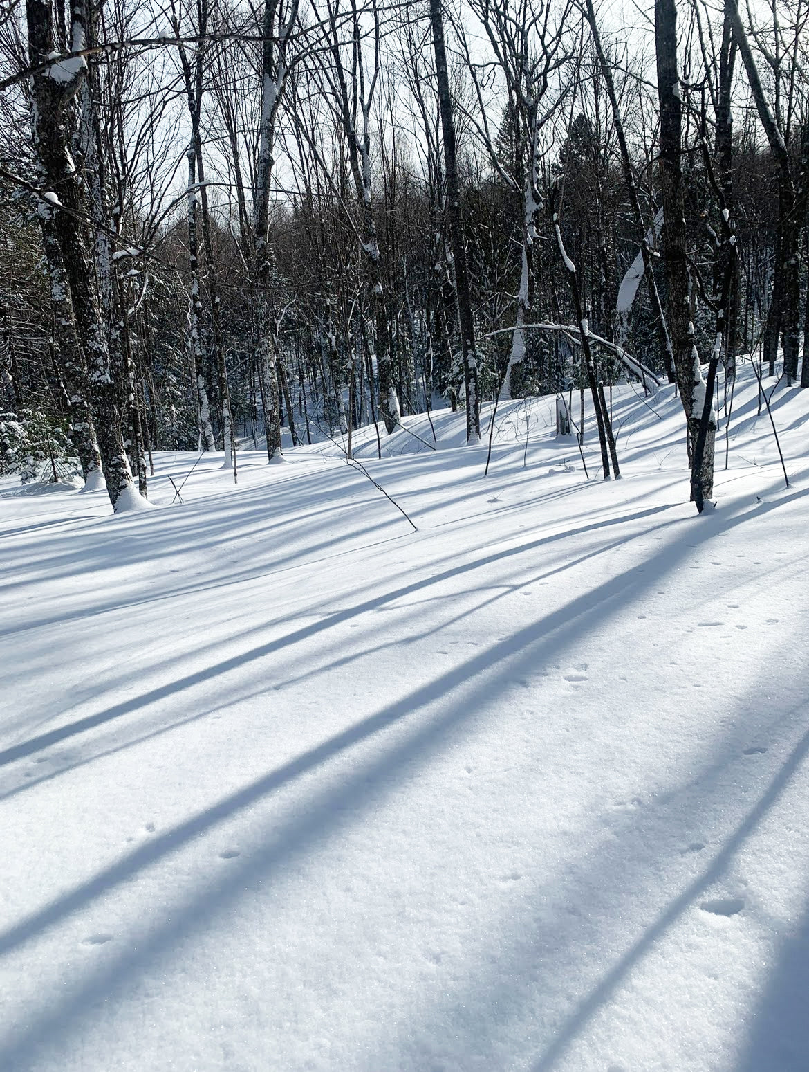 January: The Design Process