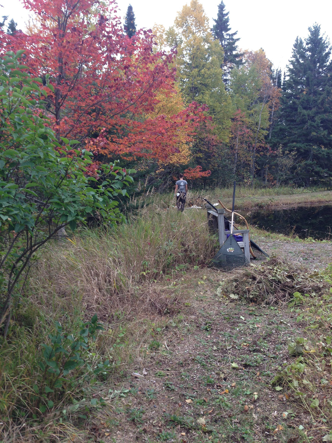 Snippets from October