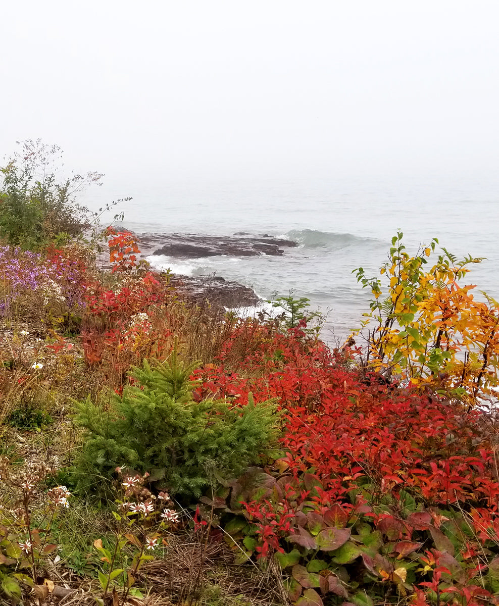 Taproot Landscaping