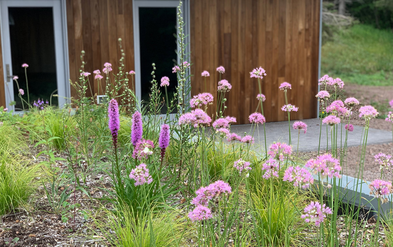 Taproot Landscaping